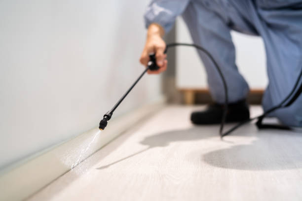 Licensed Termite Control service in Keys, OK - Nex Pest Control