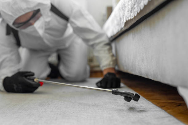 Professional Termite Control technician working in Keys, OK