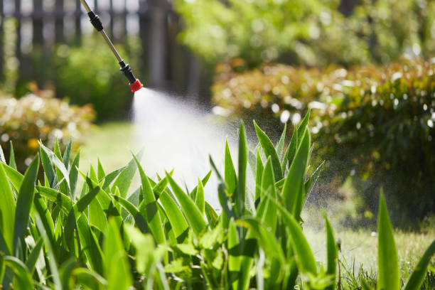 24/7 Emergency Termite Control experts in Keys, OK