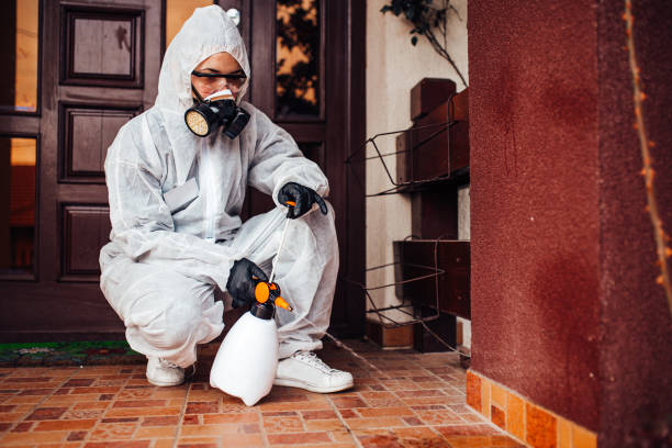 Reliable Termite Control contractor in Keys, OK by Nex Pest Control