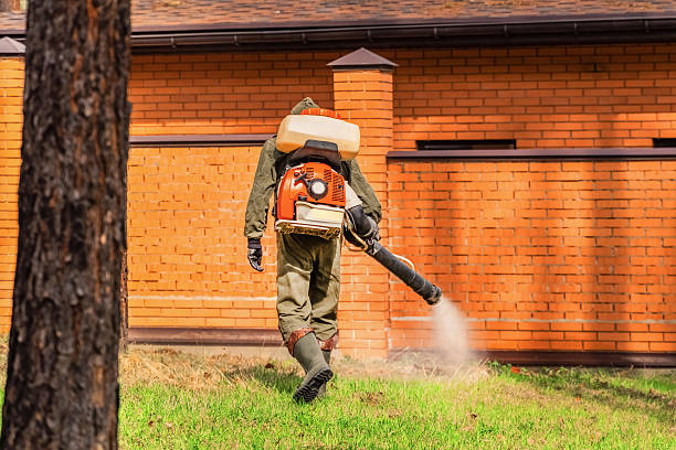 Top rated local Termite Control specialists in Keys, OK